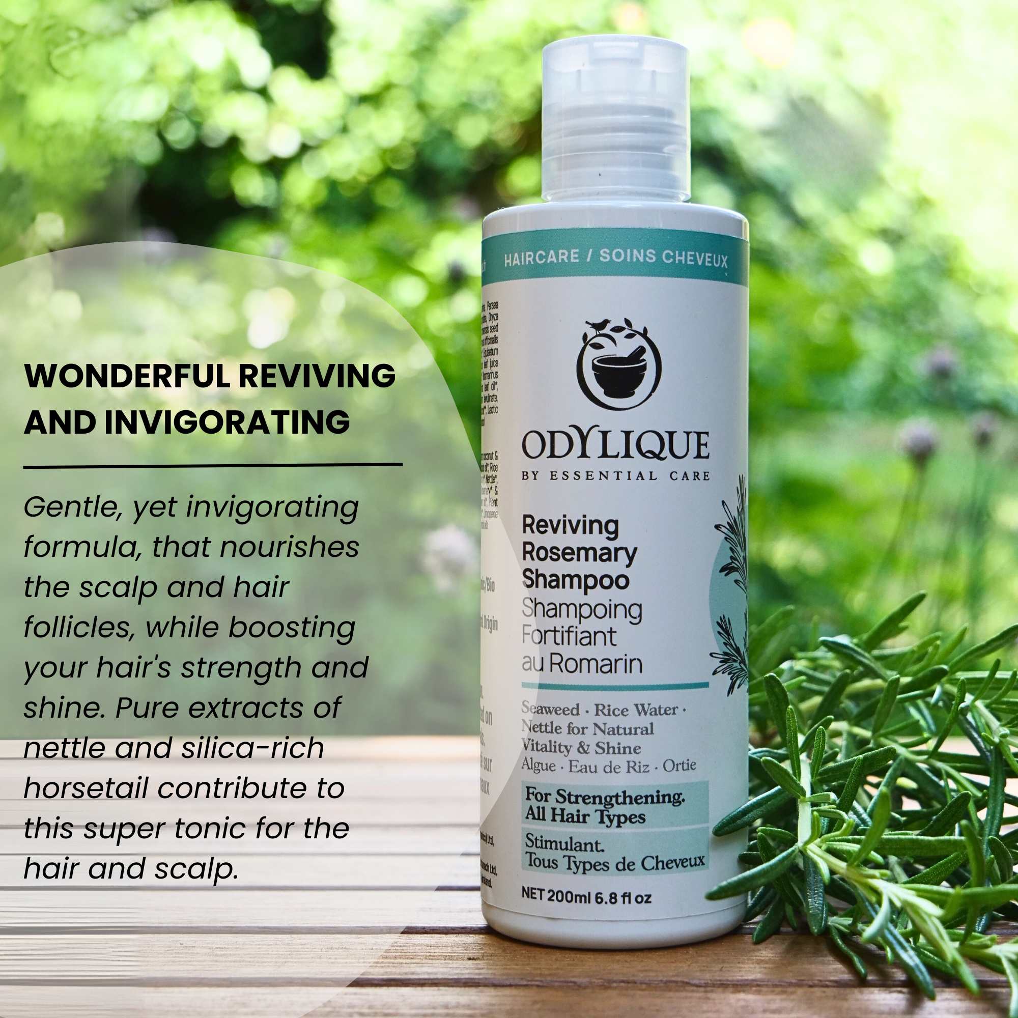 Odylique Reviving Rosemary Shampoo – Suvarna