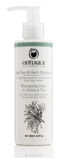 Odylique Organic Tea Tree Shampoo